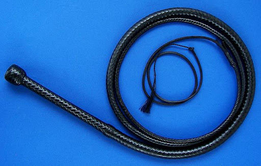 Bullwhip 8 ft Black