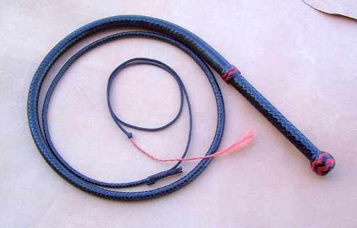 Bullwhip 6 ft Black